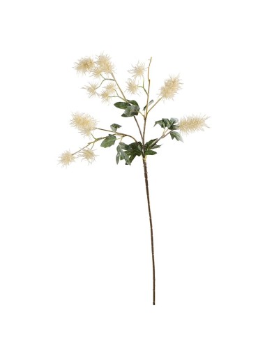 FLEUR DE CHARDON HAUT 74 CM