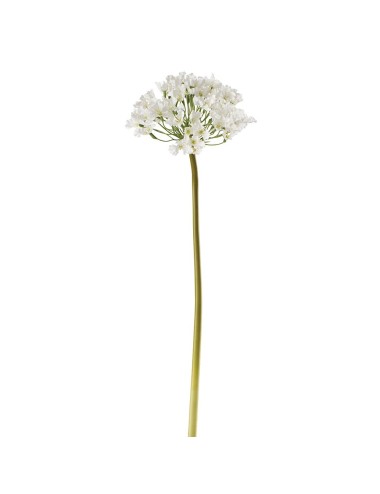 LILA DE CHINE HAUT 53 CM