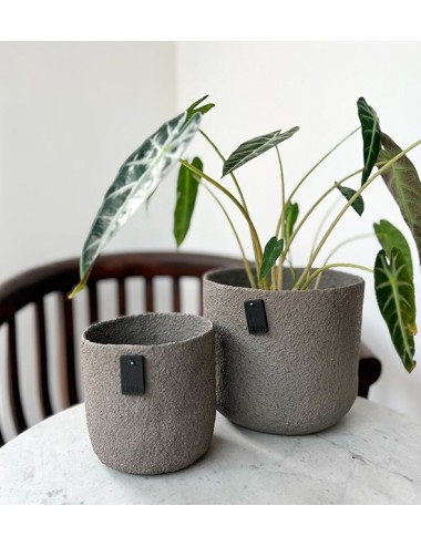 POT ALL NATURE MEDIUM